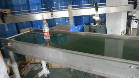 Hairise ISO Food Grade Straight PVC/PU Belt Conveyor System