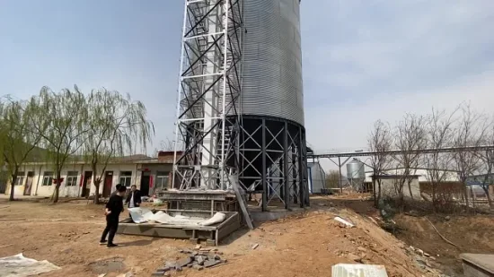 High Quality Tdtg Series Bulk Grain Bucket Elevator Conveying System